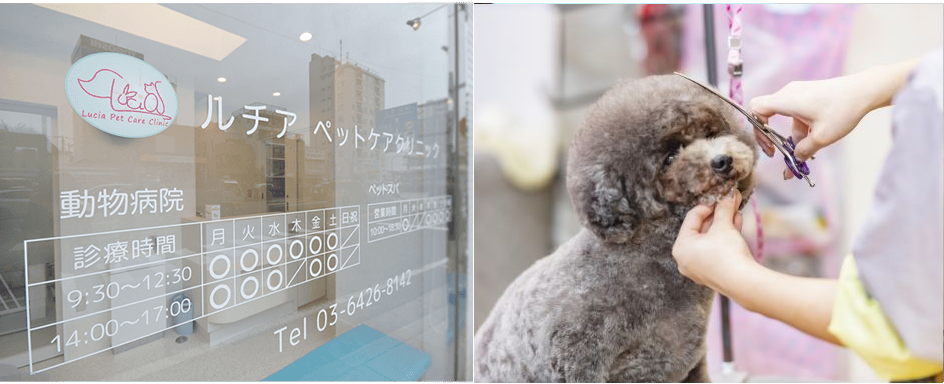 品川区 戸越 中延エリアの動物病院　ルチアペットケアクリニック